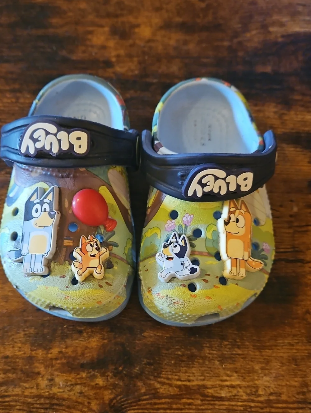 CROCS Toddler Bluey Clogs with Black Heel Straps